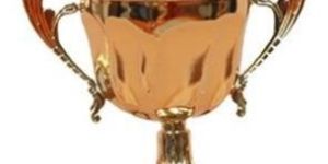 Bronze Trophy