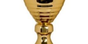 Bronze Trophy