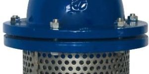 Foot Valve