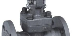 Forged Stainless Steel Globe Valve