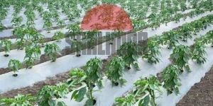 Mulching Fabric Rolls