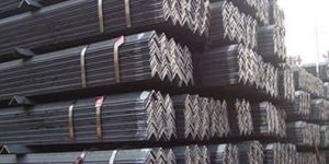 Stainless Steel Angles