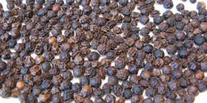 Dried Papaya Seeds