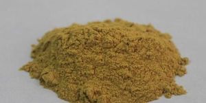 Methi Powder