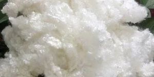 Viscose Staple Fiber