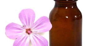 Geranium Oil