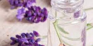 Lavender Hydrosol