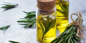 Rosemary Oil