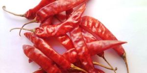 Red Chili