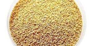 Foxtail Millet Seeds