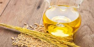 Rice Bran Oil