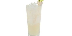 Litchi Soft Drink Concentrate Mix