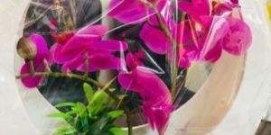 Ceramic Flower Basket