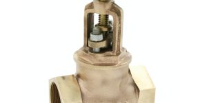 Gun Metal Globe Valve (Screwed Ends) Class 2