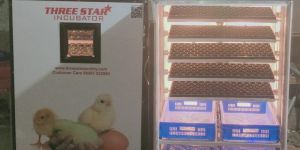 Commercial Setter Egg Incubator