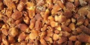 Mahua Flowers Dried, Long-folia