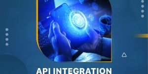 API INTERGRATION