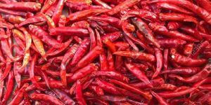 Red Chilli Powder