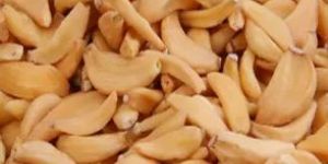 Dehydrated Garlic Flakes