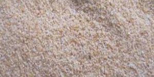 Dehydrated Garlic Granules