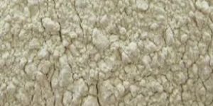 Dehydrated Garlic Powder