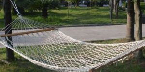 Hammock Net