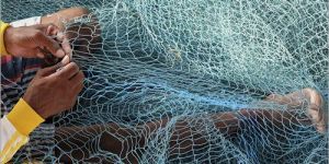 HDPE Fishing Net
