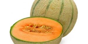 Organic Muskmelon