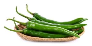 Fresh Green Chilli