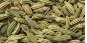 Cumin Seed