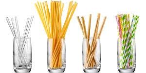 Biodegradable Disposable Drinking Straw of Bioplastic