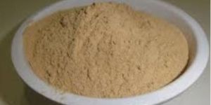 Coleus Forskohlii Extract