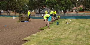 Sports Ground Ground Maintenance Services