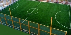 Sports Turf Setup Services