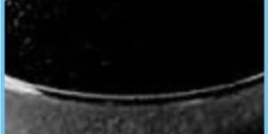 Seaweed Extract Powder