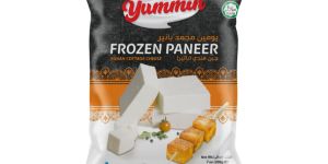 Frozen Paneer
