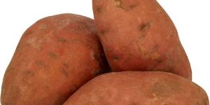 Fresh Sweet Potato