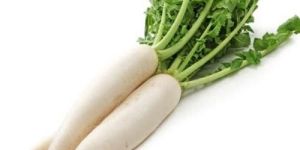 Fresh White Radish