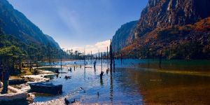 Domestic Hotel Bookings