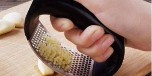 Stainless Steel Garlic Press