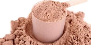 Chocolate Protein Powder