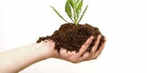 P - ZnSB Bio Fertilizer