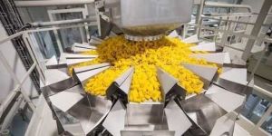 Extruded Snacks Plant
