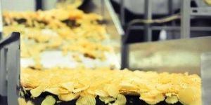 Potato Chips Plant