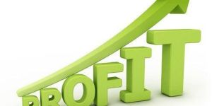 Productivity and Profitability Improvement Services