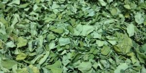 Dried Moringa Leaves