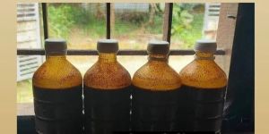 Nail Henna Cone Liquid Oil