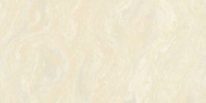 Double Charge Vitrified Tiles