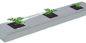 Coco Peat Grow Bag