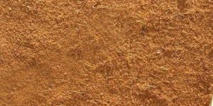 Coco Peat Powder